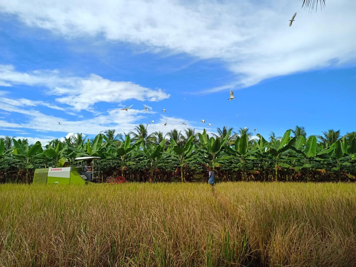 Gangi Kota North Flat Apartment Kovvur ภายนอก รูปภาพ